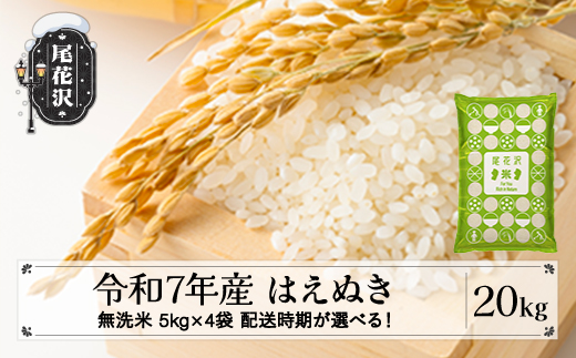 
            令和7年産 新米 無洗米 はえぬき 20kg 5kg×4袋 配送時期選べる 11月上旬~3月下旬発送 2025年産 米 お米 国産 山形県 尾花沢市 kk-hamxa20
          
