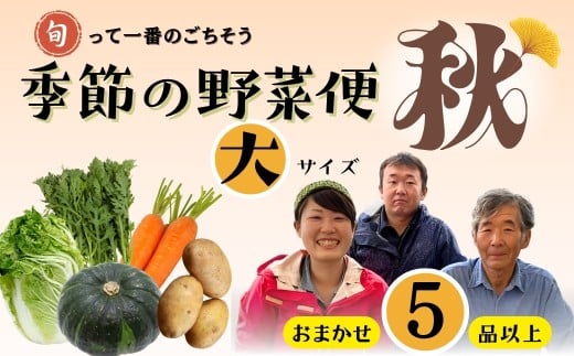 ひぐらし農場 季節の野菜便（秋）【大サイズ】～旬っていちばんのごちそう～（7-A38）信州産 長野県 飯山市 新鮮 農家直送 産地直送 美味しい 野菜セット 旬