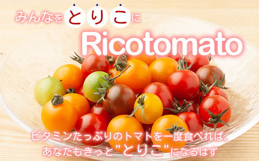 【4回定期便】【先行受付】2027年1月より順次発送 カラフルミニトマト6種1kg 農家直送 人気 佐賀県鹿島市 たにぐちファーム Ricotomato～とりこになるトマト～ F-25