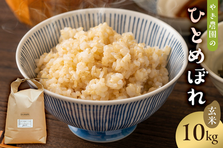 １月発送 ひとめぼれ玄米10kg【2024年産】ごはん ご飯 ひとめぼれ ﾋﾄﾒﾎﾞﾚ おにぎり mi0100-0004-1-01