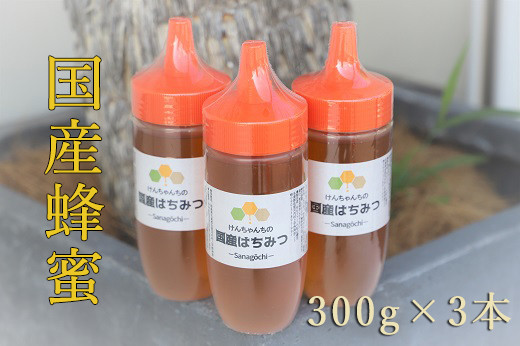 
            けんちゃんちのはちみつ 3本セット《30日以内に出荷予定（土日祝除く）》| ふるさと納税 はちみつ ハチミツ 蜂蜜 国産蜂蜜 天然蜜蜂 徳島県 佐那河内村 送料無料
          