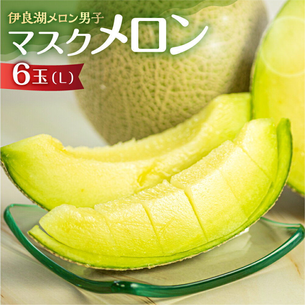【ふるさと納税】 先行予約 伊良湖産 マスクメロン 6玉 Lサイズ 訳あり 箱詰め メロン フルーツ 果物 お中元 お取り寄せ ギフト 渥美半島 田原市 伊良湖メロン男子 産地直送 送料無料