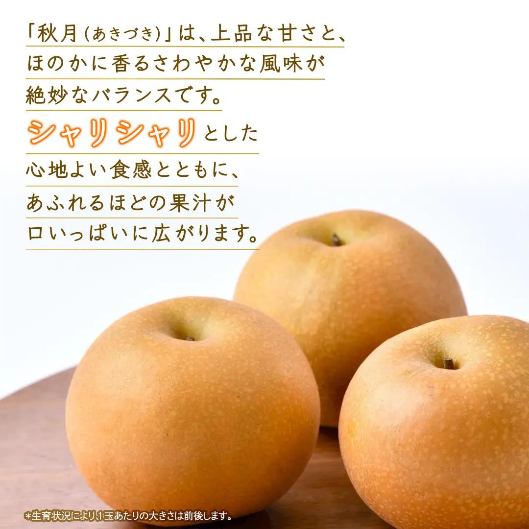 あきづき 梨 約3kg 【2026年10月より発送開始】（茨城県共通返礼品 [梨]：大子町産） 