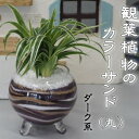 【ふるさと納税】カラーサンド（ガラス花器：丸）ダーク系　 植物 インテリア 飾り 緑 グリーン 部屋 玄関 キッチン 洗面所 丸型 ガラス花器 グリーンインテリア