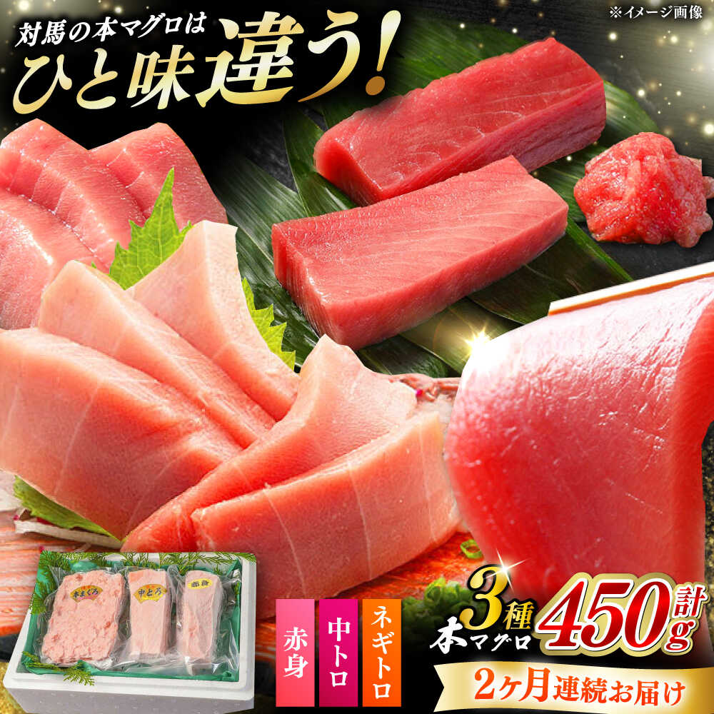 【ふるさと納税】【全2回定期便】対馬産 本マグロ 3種 計450g（赤身/中トロ/ネギトロ）《対馬市》【対海】[WAH032] 新鮮 マグロ 鮪 本鮪 赤身 中トロ ねぎとろ 海鮮 冷凍 定期