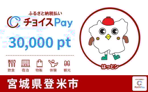 
            登米市チョイスPay 30,000pt【会員限定のお礼の品】
          