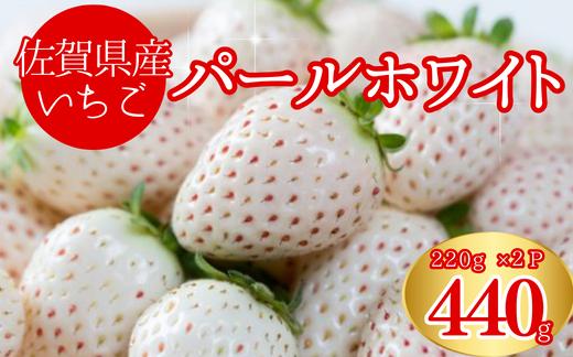 
            佐賀県産いちご パールホワイト220ｇ×2パック
          