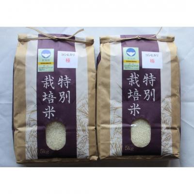 ふるさと納税 三条市 特別栽培米 コシヒカリ「極」 10kg 令和7年産 こしひかり 県認証特栽米【024S027】 |  | 01