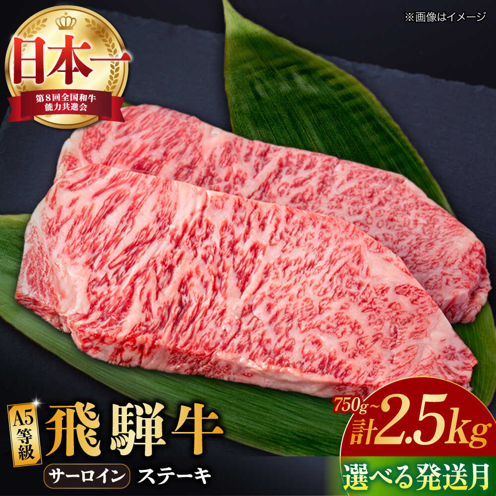 【ふるさと納税】【選べる発送月・容量】飛騨牛 A5等級 サーロイン ステーキ用 和牛 ブランド牛 国産 牛肉 多治見市 / 渡辺精肉店 [TAZ001]