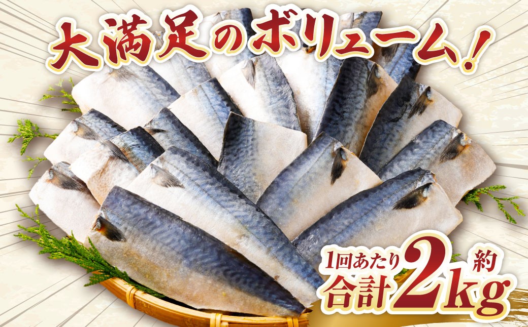 【6ヶ月定期便】【訳あり】国産 ふっくら 極み塩サバ 計約2kg