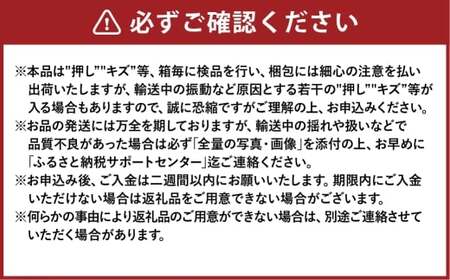 ご家庭用 シャインマスカット 晴王 3～6房 計約2kg【2026年8月下旬～11月下旬まで順次発送予定】 マスカット 葡萄 ぶどう ブドウ 果物 フルーツ 岡山県 倉敷市