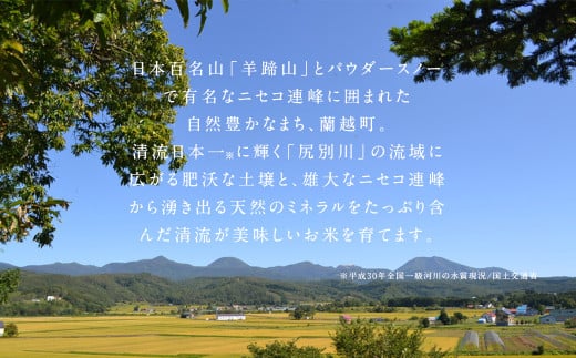 【6ヶ月定期便】らんこし米食べ比べ (ななつぼし・ゆめぴりか) 各2kg