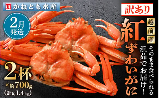 【訳あり】≪浜茹で≫越前産 紅ずわいがに 約700g × 2杯 食べ方しおり付【紅ズワイガニ カニ かに 蟹 姿 ボイル 冷蔵 福井県】【2月発送分】希望日指定不可 [e14-x025_02]