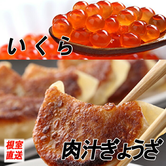 【ふるさと納税】餃子・いくら醤油漬けセット (餃子25個×1P・いくら100g×1P) (餃子25個×2P・いくら100g×2P) (餃子25個×2P・いくら醤油漬100g×3P) イクラ イクラしょうゆ漬け イクラ醤油漬 ギョウザ 魚介類 海鮮 北海道 根室市