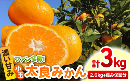 【2026年10月下旬以降発送】小玉太良みかん！計3kg（2.6kg＋傷み保証分400g） / みかん / 佐賀県 [41ATBT008]