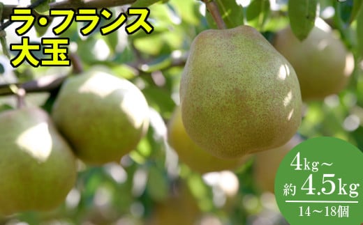 
            最高級 大玉おいしいラ･フランス約4kg～4.5kg（14～18個）　蔵王産　【04301-0151】
          