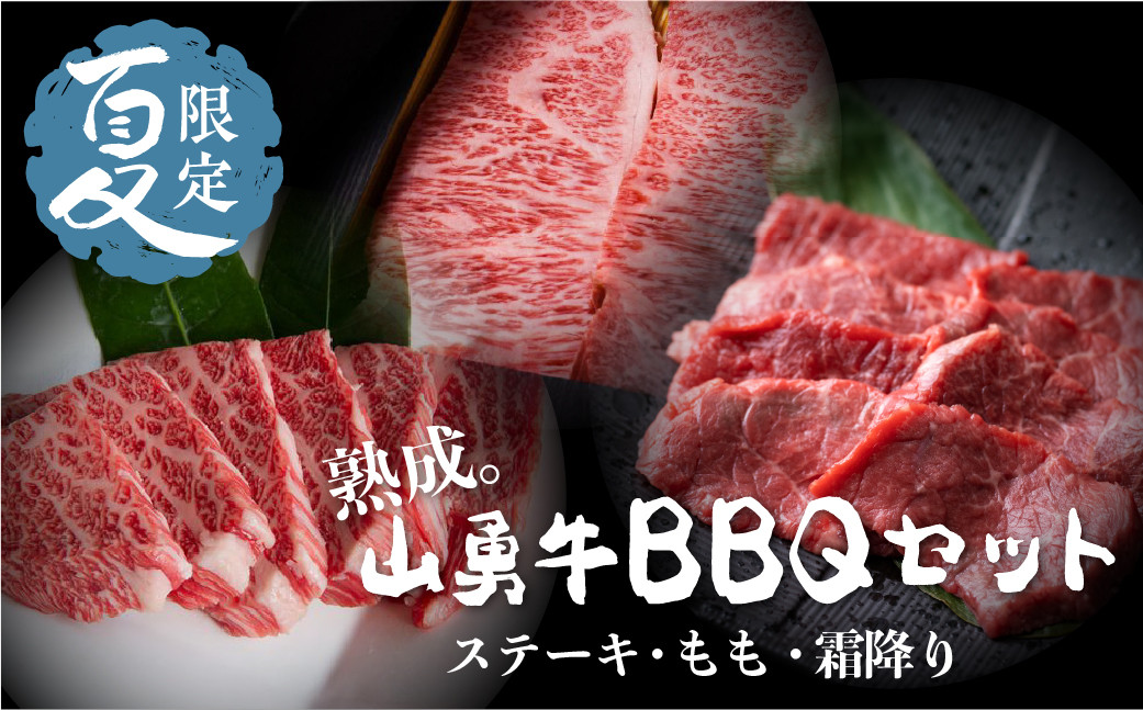 
《夏季限定》飛騨牛BBQセット サーロインステーキ 200g×２枚 もも 焼肉用500g 上カルビ 焼肉用 500g セット 先着200名様限定箸付 バーベキュー 牛肉 和牛
