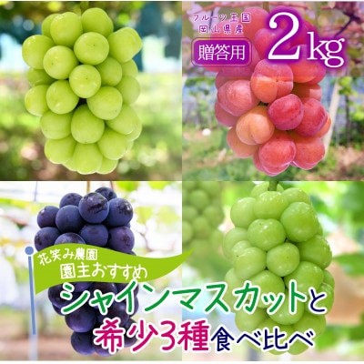 岡山　花笑み農園の『園主おすすめブドウ4種セット』贈答用　2kg　4M-2R上【9月中旬～順次発送】【配送不可地域：離島・北海道・沖縄県】