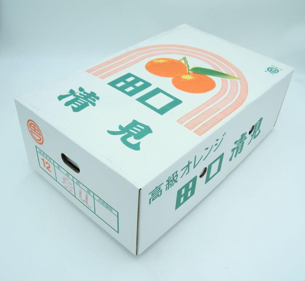 田口の清見オレンジ 秀品　5kg　L～３L（30玉～18玉）化粧箱入り サイズおまかせ【2025／2／26～2025／3／31 順次発送】