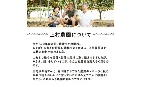 上村農園 こだわりのいちご 大粒章姫・大粒紅ほっぺ 各1パックずつ (1パックあたり約450g) イチゴ あまい おいしい 静岡 浜松市【配送不可：沖縄・離島】