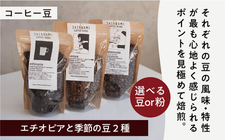 コーヒー豆 3種類 (豆または粉) / ドリップバッグ 15個セット 糸島市 / SAZANAMi[ADN003]