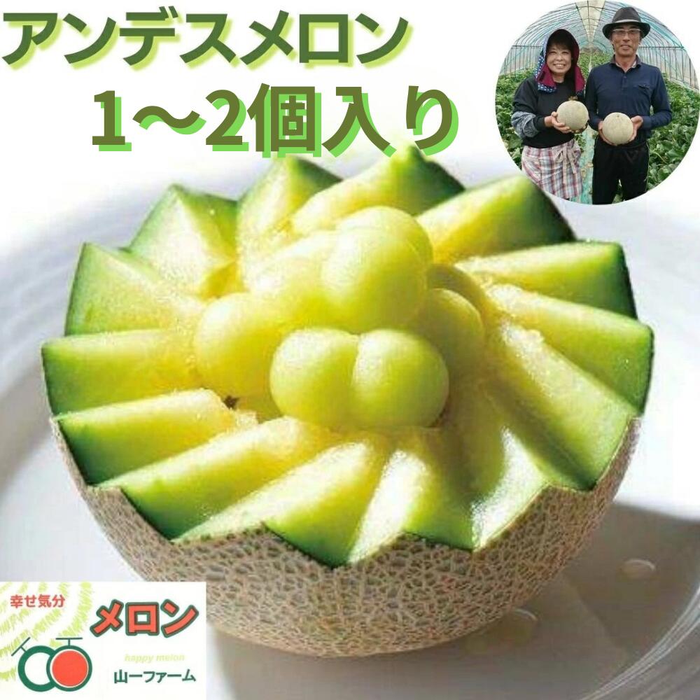 【ふるさと納税】メロン めろん アンデスメロン 山一ファーム おすすめ 人気 国産 山一ファーム 茨城 鉾田 フルーツ 旬 プレゼント 贈り物 甘い ヘルシースイーツ 産地直送 農業王国 青肉 緑肉 送料無料