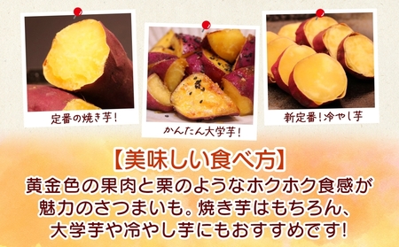 【予約受付中・2026年10月頃より順次発送】「吉岡さんちのなると金時」 Lサイズ 2kg