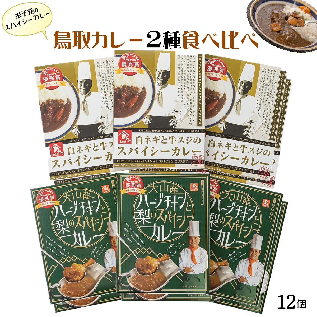 【ふるさと納税】鳥取カレー 2種 詰合せ（レトルトカレー 12個セット）豊田アストリア フジキコーポレーション選定品 簡単便利 お手軽 保存 お取り寄せ グルメ 鳥取県 米子市 送料無料