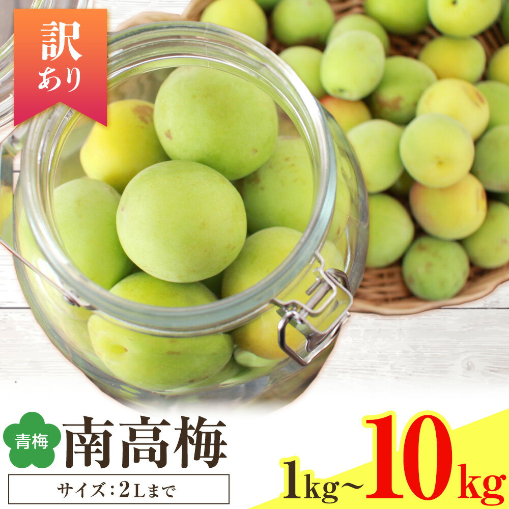 【ふるさと納税】紀州南高梅 訳あり(青梅) 3Lサイズ以上 選べる容量 1kg ~ 10kg 和歌山県産 株式会社農業福祉研究機構《6月上旬-6月下旬頃出荷》和歌山県 紀の川市 南高梅 青梅 特産 梅ジュース シロップ 梅酒 スムージー