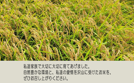 No.404 白米　コシヒカリ10kg【令和5年産】