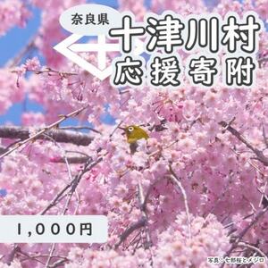 【返礼品なし】十津川村応援寄付　1,000円