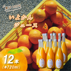 いよかんストレート果汁100％ジュース 720ml×12本 | 数量選択可 果汁100% 無添加 伊予柑 ストレートジュース 数量選択可 | みかんジュース 果汁100% みかんジュース いよかん ストレート 100% ジュース 柑橘 果汁飲料 みかんジュース NPO法人農音 愛媛県 松山市 中島【NO106】