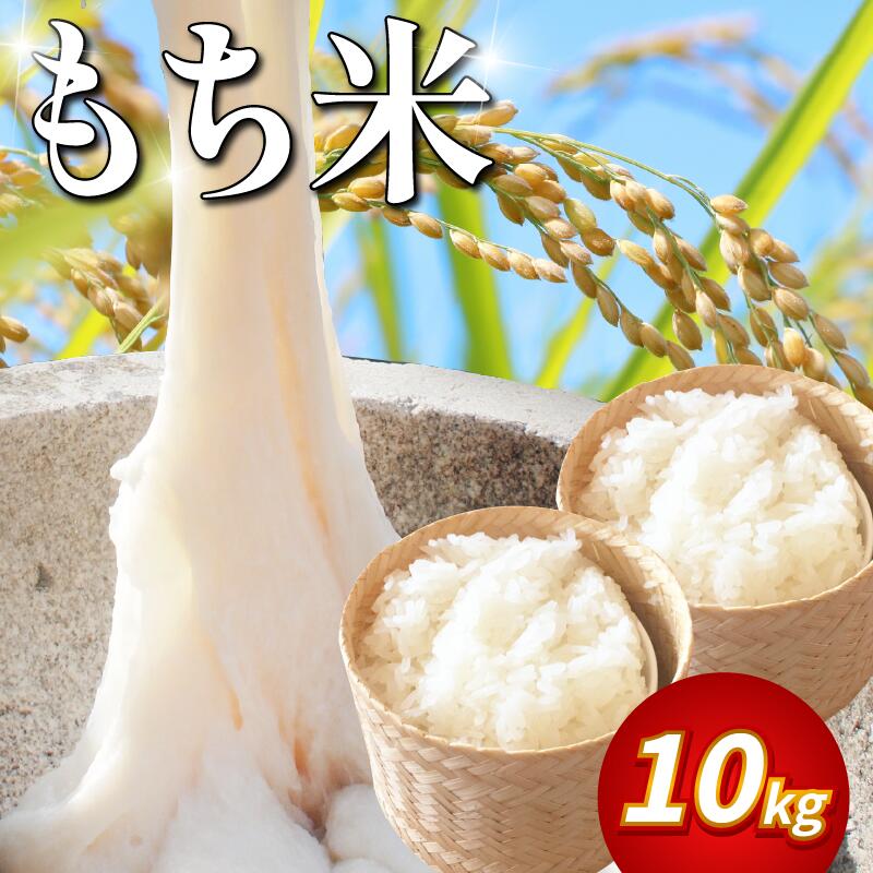 【ふるさと納税】 米 もち米 10kg 新米 令和7年産 餅 赤飯 おはぎ 10キロ コメ 保存 防災 災害 おこわ 雑煮 大福 あられ イベント 餅つき 先行予約 阿波市 徳島県
