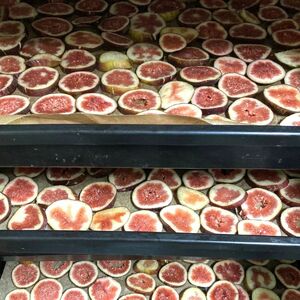 ドライフルーツ いちじく 50g