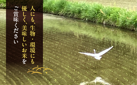 先行受付 農薬不使用 無洗米 ホタル舞う里山の棚田米 精米10kg 令和8年産 朝日2kg×5袋