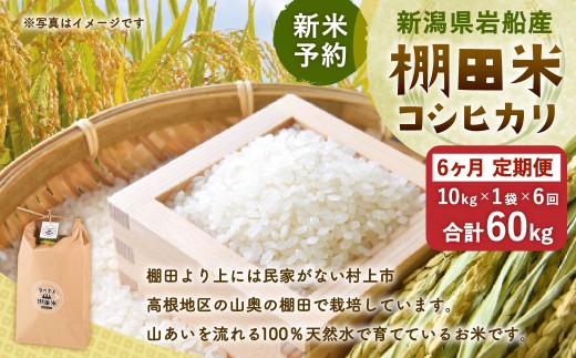 【新米予約・令和8年産米】【定期便：6ヶ月連続でお届け】新潟県村上市岩船産 棚田米コシヒカリ 10kg×6ヶ月　1011006N