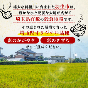 【米】 令和7年産 新米 彩のきずな 5kg 米 埼玉県 羽生市