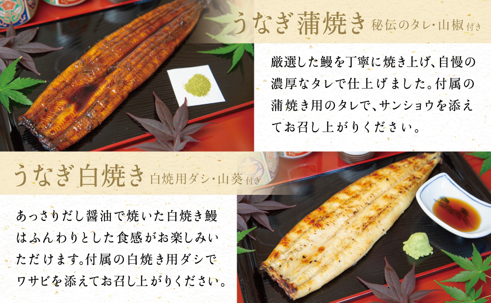 鹿児島県産 鰻 蒲焼・白焼セット［2種］うなぎ専門店「万のせ」加工品 詰め合わせ 詰合わ ギフト 贈答 贈り物 手土産 御祝 お祝い 鹿児島うなぎ 鰻 ウナギ スタミナ 土用の丑の日 蒲焼き 白焼き 