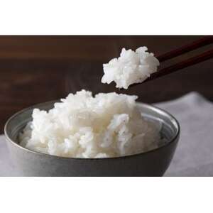 【令和7年産】宮城県産ひとめぼれ玄米　30kg_ 玄米 米 こめ コメ_【1397625】