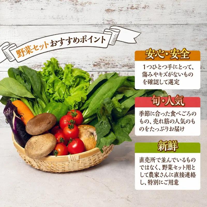 野菜 とれたて パック 定期便 3回 季節の野菜 8品 野菜
