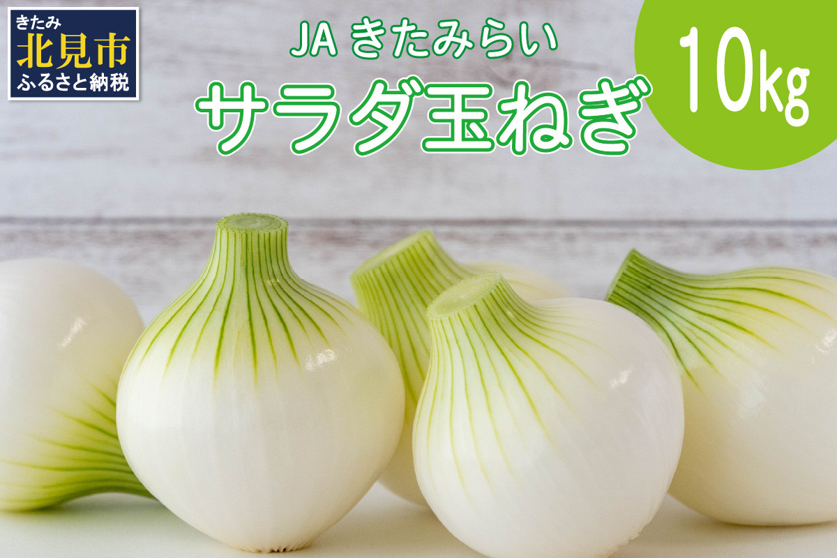 
            【予約：2025年7月下旬から順次発送】北海道 JAきたみらい サラダ玉ねぎ 10kg ( 玉葱 サラダ 期間限定 )【005-0012-2025】
          