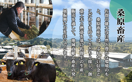 【定期便】佐賀牛 A5 すき焼き しゃぶしゃぶ 厳選部位 800g 12回定期 計9.6kg(800gx12) Q252-002 桑原畜産 ブランド牛 小分け スライス 黒毛和牛 牛肉 人気 佐賀県 