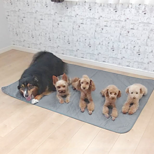 【ふるさと納税】G0374「MIMI」 洗える防水ペットマット 100x140cm 犬 いぬ 猫 ねこ