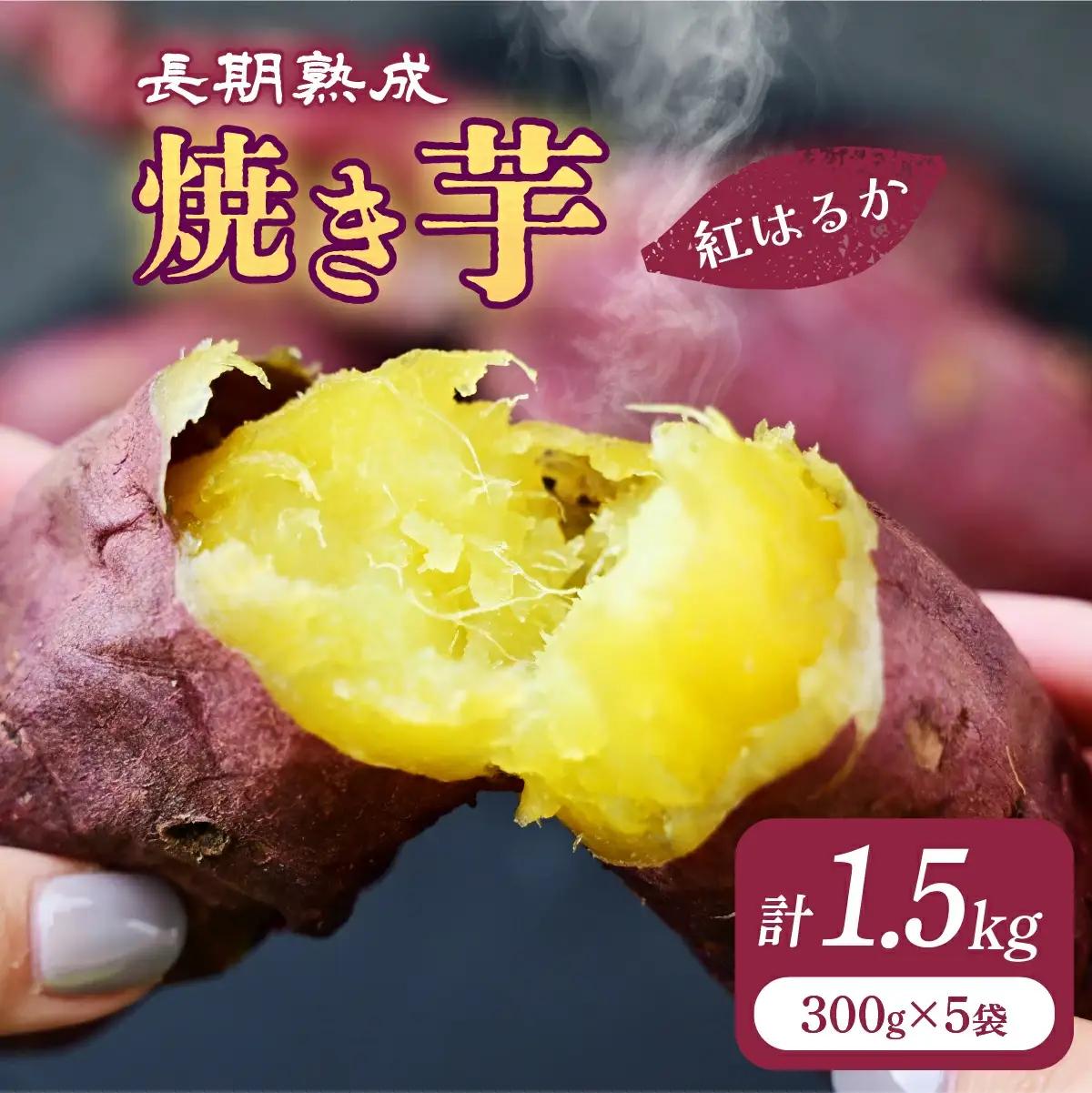 【訳あり】紅はるか 冷凍 焼き芋 約1.5kg | 焼き芋 紅はるか 栃木県 茂木町