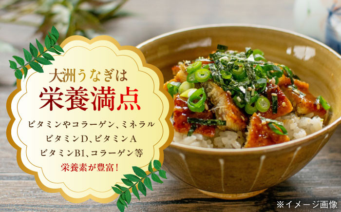 【全3回定期便】「うなぎ蒲焼き 2尾」と地元生産者こだわりの「お米 5㎏」 セット 