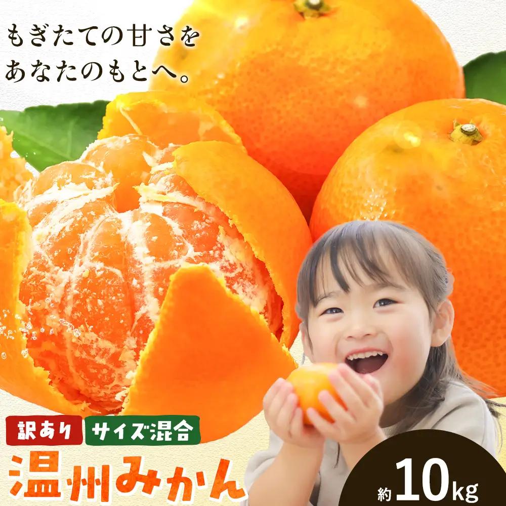 訳あり みかん 温州 みかん ご家庭用 約10kg エイワ商店