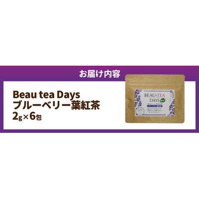 ふるさと納税 延岡市 Beau tea Days ブルーベリー葉 紅茶　2g×6包 |  | 02
