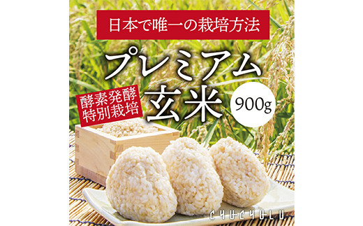 
                  ＜酵素発酵特別栽培＞ 酵素発酵玄米 (900g×2) プレミアム 玄米 酵素 発酵 美容 米 食品 F20E-812
                