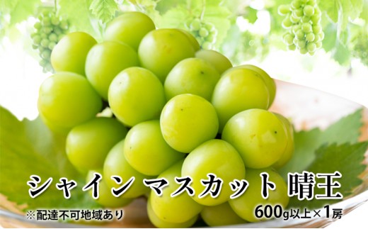 
                  [№5615-0848]ぶどう 2026年 先行予約 シャイン マスカット 晴王 600g以上×1房 種無し ブドウ 葡萄  岡山県産 国産 フルーツ 果物 ギフト
                