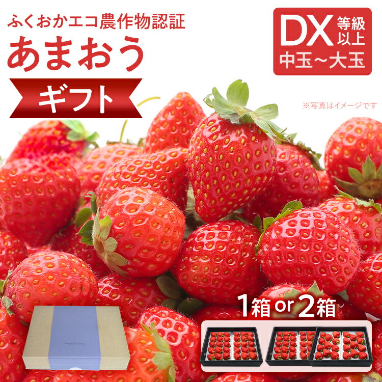 【ふるさと納税】ふくおかエコ農作物認証あまおう DX等級以上【選べる】 あまおう イチゴ 苺 いちご フルーツ 果物 くだもの 福岡県産 お取り寄せグルメ お取り寄せ 福岡 お土産 九州 福岡土産 取り寄せ グルメ 福岡県